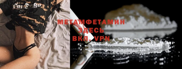шишки Слюдянка