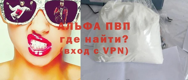 ГАЛЛЮЦИНОГЕННЫЕ ГРИБЫ Гусев