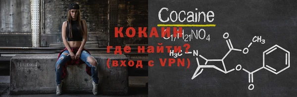 ГАЛЛЮЦИНОГЕННЫЕ ГРИБЫ Гусев