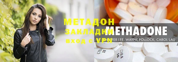 индика Горняк