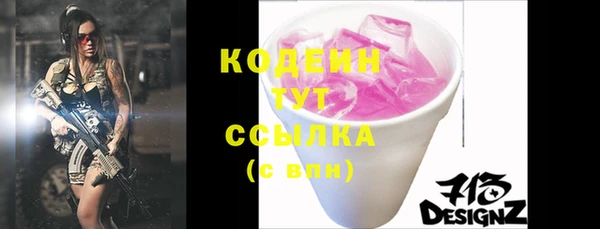 индика Горняк