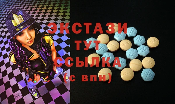 индика Горняк