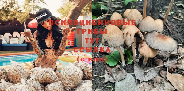 индика Горняк