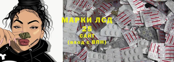 индика Горняк