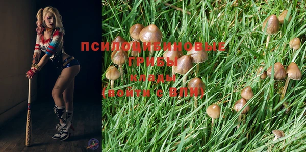 крисы Горнозаводск