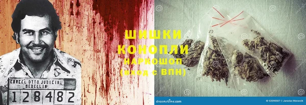 индика Горняк