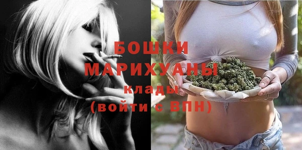 крисы Горнозаводск
