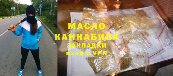 индика Горняк